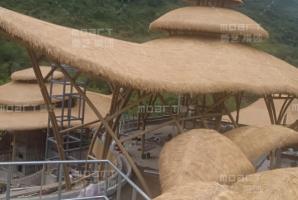 海南保亭县呀诺达雨林文化旅游区综合造型木纹漆效果展